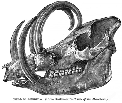 Figure 5.2