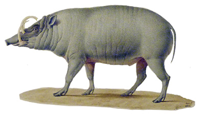 Figure 5.4