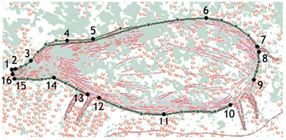 Figure 5.5