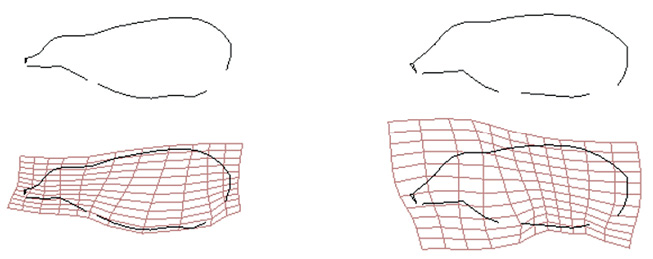 Figure 5.6