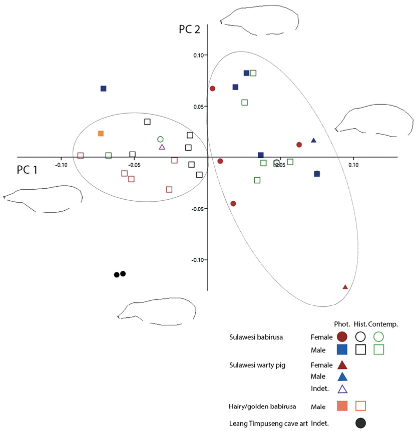 Figure 5.7