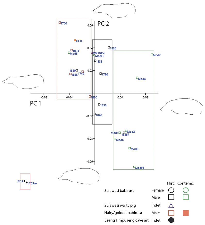 Figure 5.9