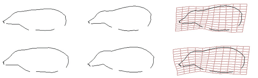 Figure 5.8