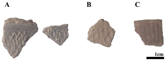 Figure 9.9