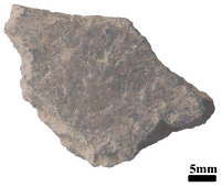 Figure 9.10