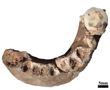 Figure 9.14
