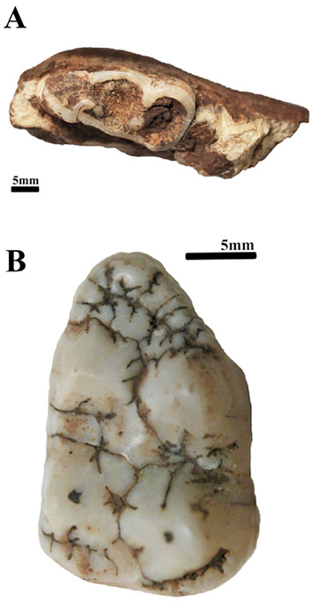 Figure 9.17
