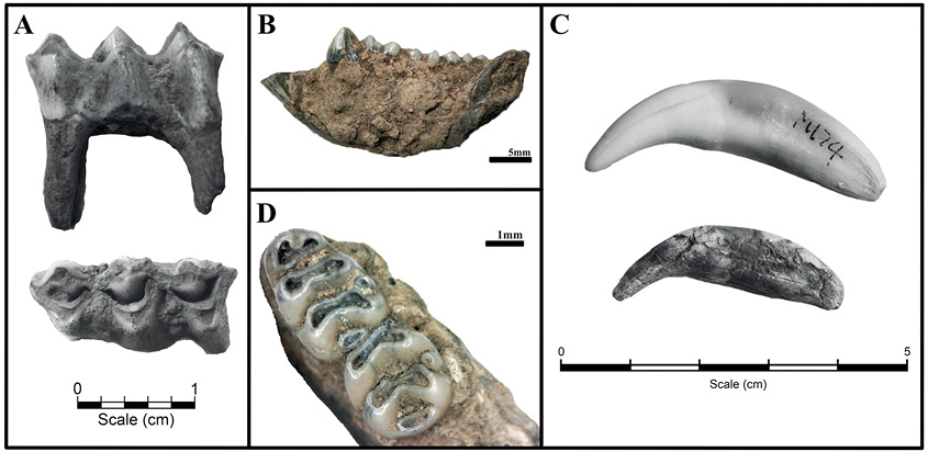 Figure 9.18