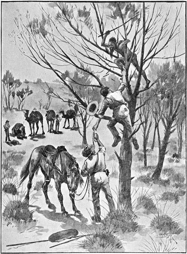 Figure 2.3